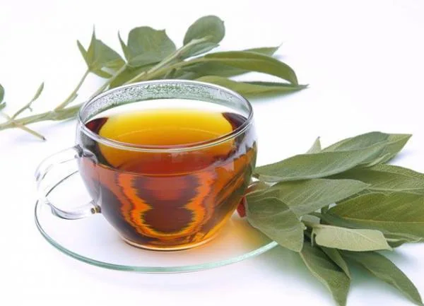 چای مریم گلی