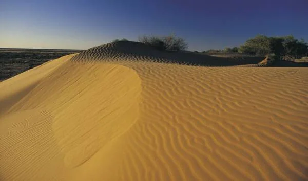 بیابان های استرالیا