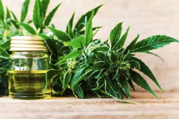 عوارض جانبی حشیش