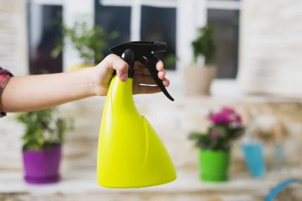 خشک کردن گل