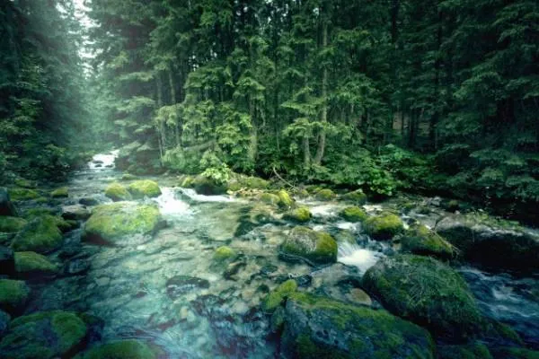 عکاسی از منظره