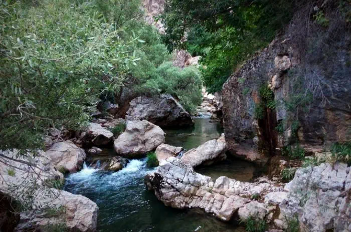تنگ تیزاب