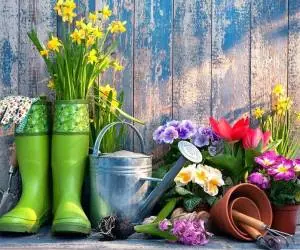 باغبانی فضای کوچک