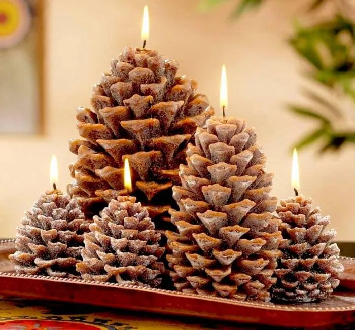 شمع کاجی