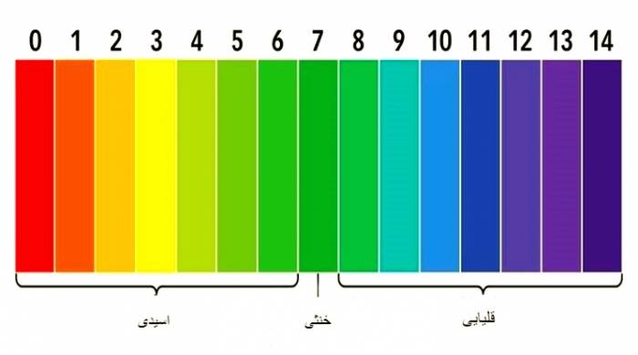 عدد پی اچ اسیدی و قلیایی سطح ph خون