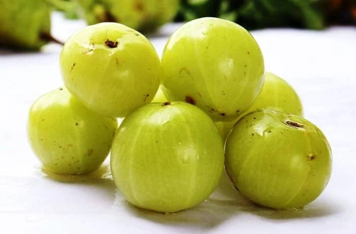 آملا انگور هندی