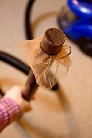 پیدا کردن طلای گمشده