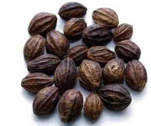 هلیله سیاه