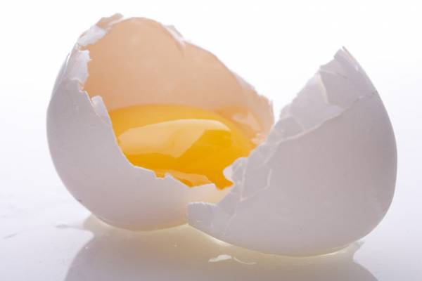 تخم مرغ برای مژه