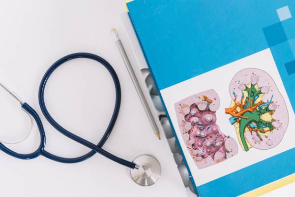 پیری و کلیه