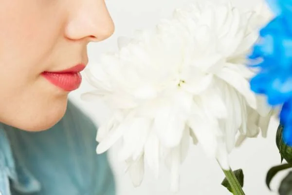 شکل زیبای بینی