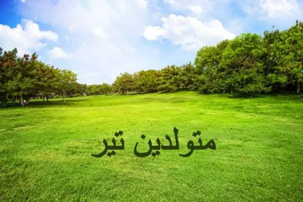 متولدین تیر