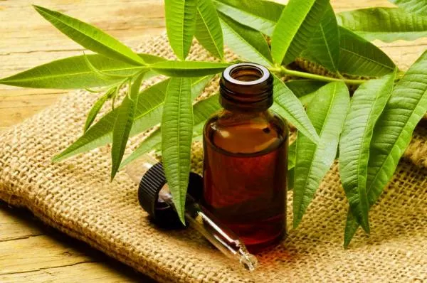 روغن درخت چای