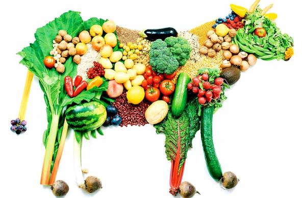 تاریخچه و پیام تبریک روز جهانی وگان به گیاهخواران - مجله وب‌اینجاست
