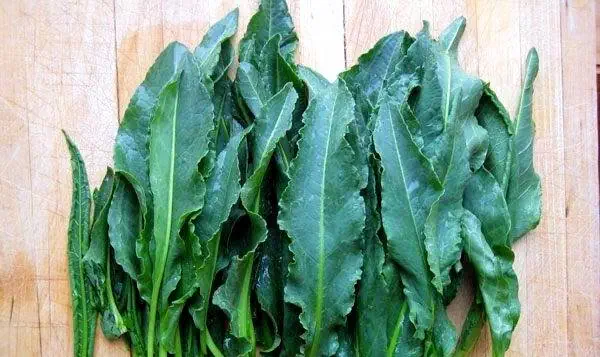 برگ ترشک