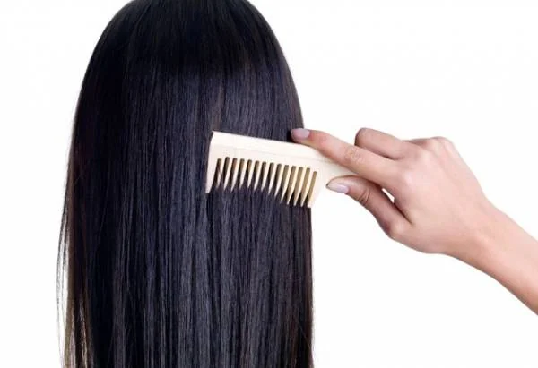 تیغ کاکتوس روی مو
