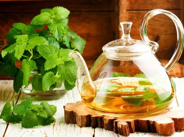 دمنوش بادرنجبویه