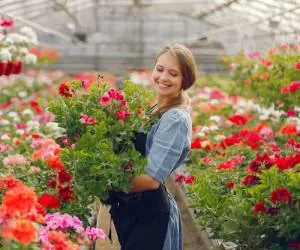باشگاه بیلیارد المپیک