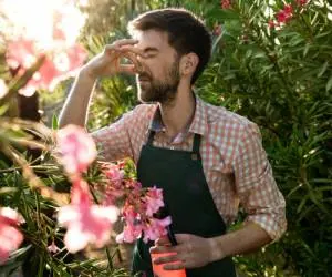 اختلال هایپروزمی