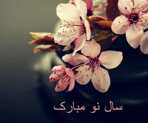 متن جای خالی عزیزان
