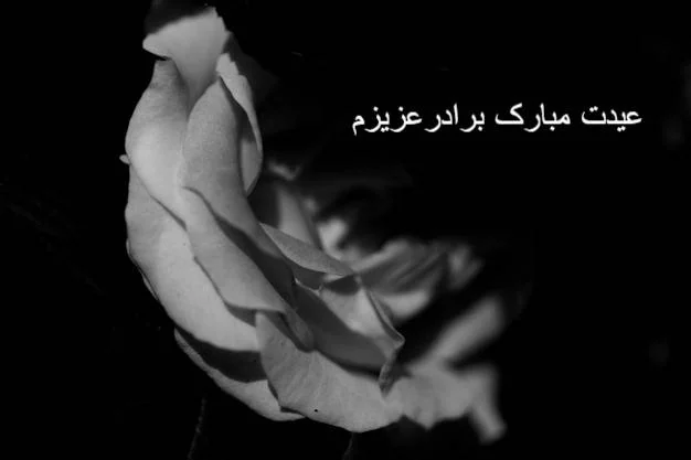 متن جای خالی عزیزان