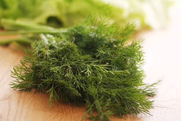 سبزی مناسب برای خوش طعم شدن هر نوع ترشی