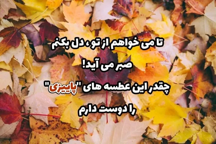 عاشقانه های پاییز
