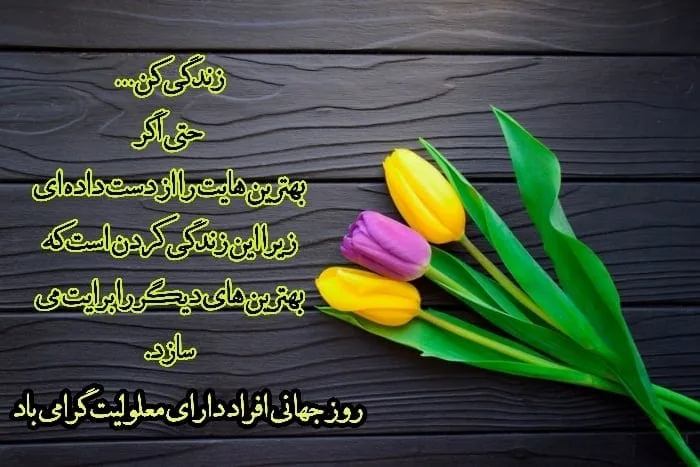 استوری روز جهانی معلولین 