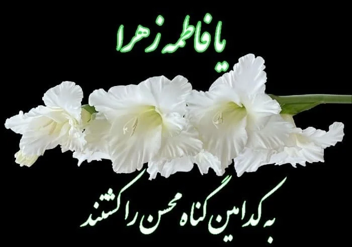 یا فاطمه الزهرا (س)