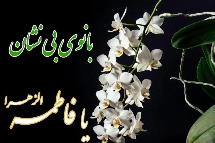 شهادت بانوی دوعالم