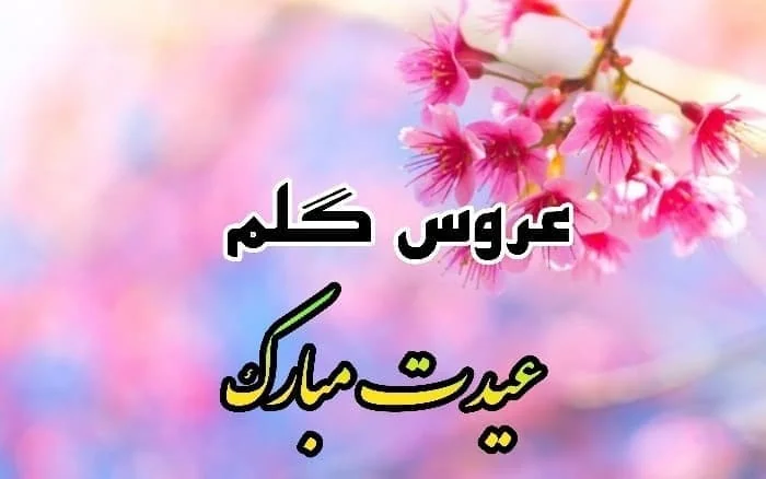 تبریک سال نو به عروس