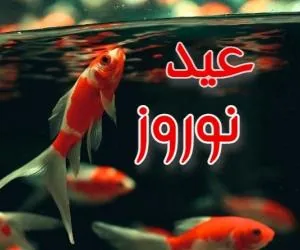 اس ام اس عید